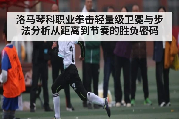 洛马琴科职业拳击轻量级卫冕与步法分析从距离到节奏的胜负密码